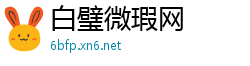 白璧微瑕网